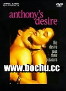 一天高潮四次还想要